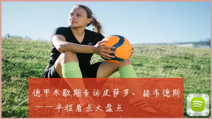 德甲冬歇期专访皮萨罗、赫韦德斯 ——半程看点大盘点