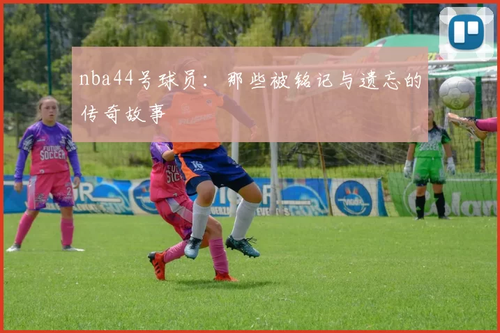 nba44号球员：那些被铭记与遗忘的传奇故事