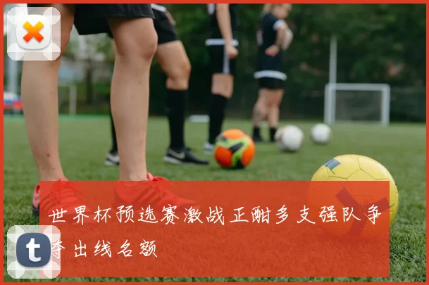 世界杯预选赛激战正酣多支强队争夺出线名额