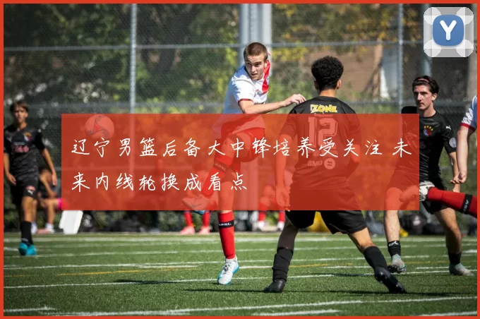 辽宁男篮后备大中锋培养受关注 未来内线轮换成看点